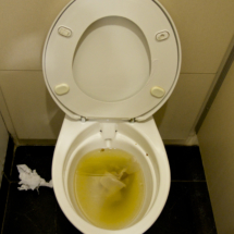 toilet clogged disgusting